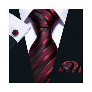 Marion Luxury 100% Silk Tie Set