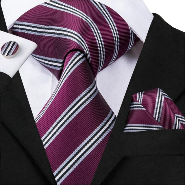 Erik Luxury Silk Men's Tie Set